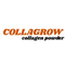 collagrow collagen powder